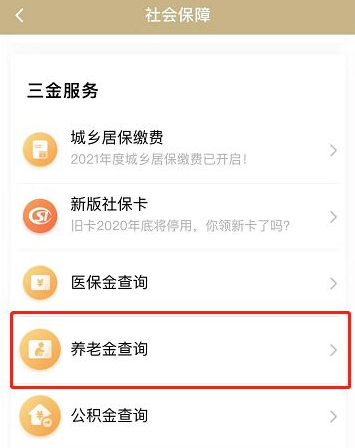 随申办如何查看自己养老保险缴费