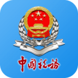 湖南税务APP图标