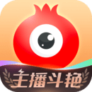 石榴 版APP图标