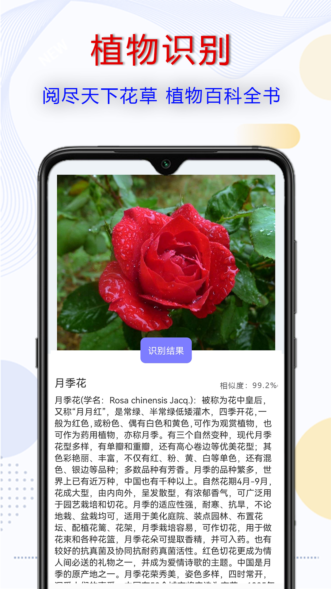 拍照识字宝app