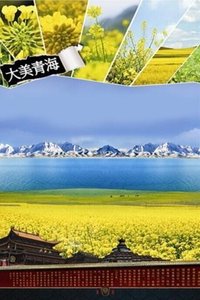 青海旅游截图