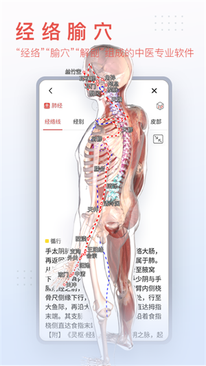 运动功能解剖教学系统