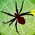 闲置蜘蛛游戏安卓版(IDLE Spiders) v0.2手机游戏