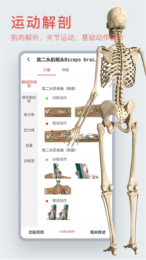 运动功能解剖教学系统官方下载 v1.0.1