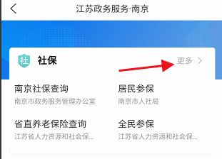 江苏政务服务社保缴费3