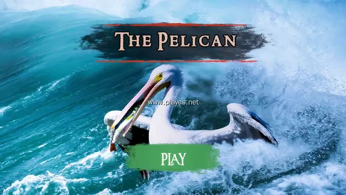 The Pelican游戏中文官方版 v1.0.1