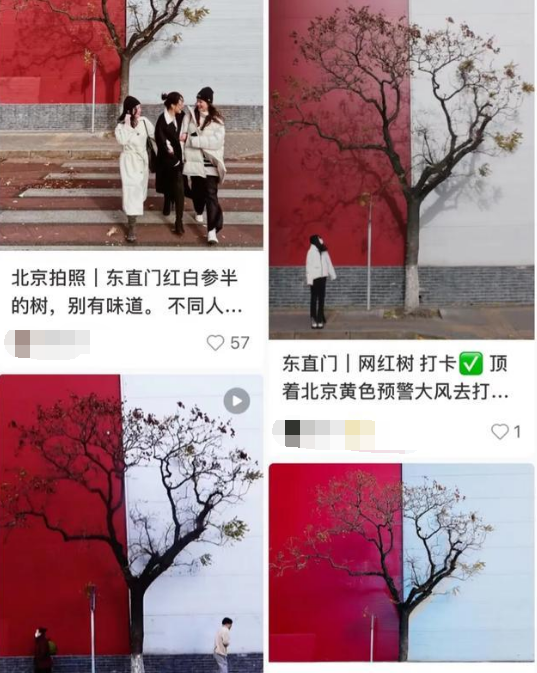 二师兄网1