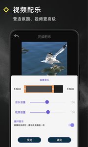 Video Effect短视频特效app软件下载 v4.5.9