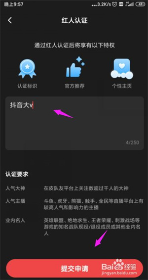 皮队友怎么红人认证5