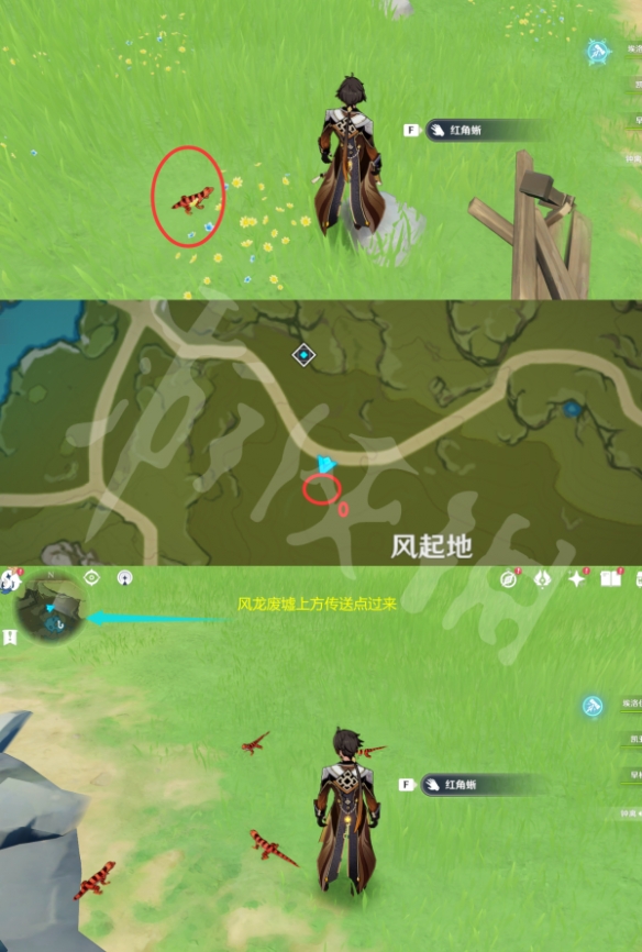 二师兄网3