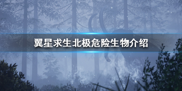 二师兄网1