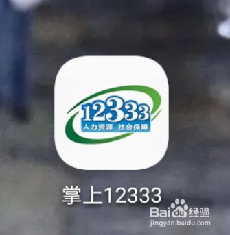 掌上12333手机版下载截图7