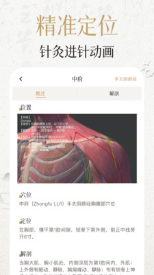 经络穴位3DappAPP截图