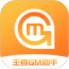 王者GM助手appAPP图标