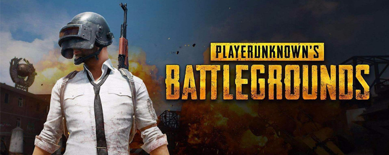 pubg是什么意思