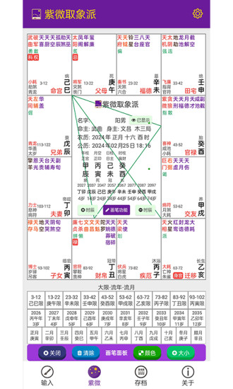 紫微取象派