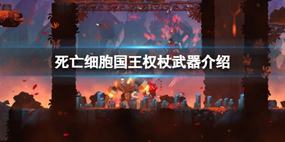 二师兄下载网1