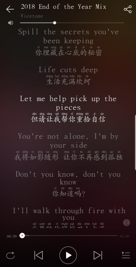 Custom Font拼音字体