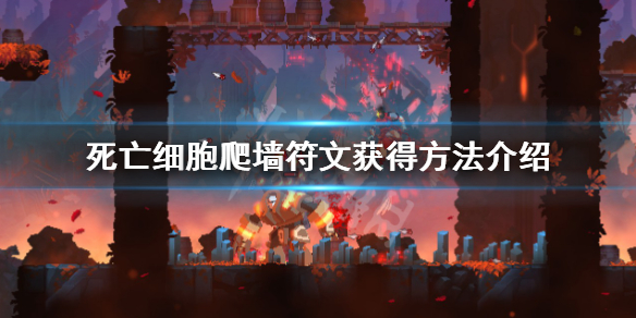 二师兄下载网1