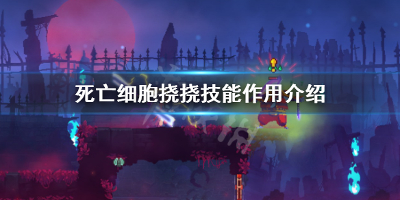 二师兄下载网1