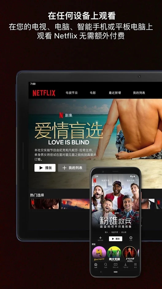 网飞netflix官方下载