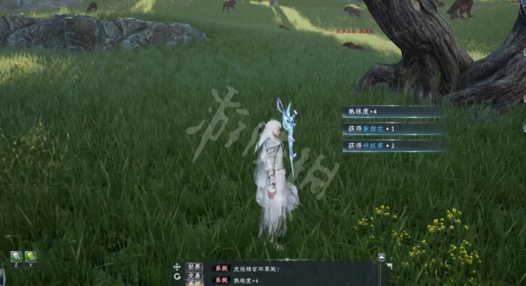 二师兄下载网3