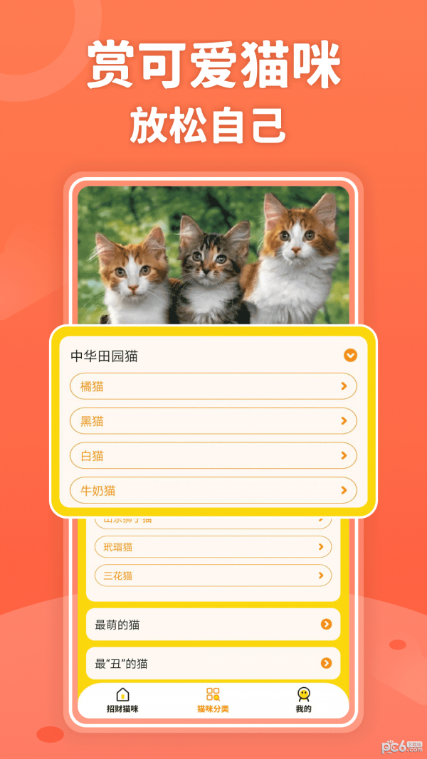 招财进猫APP截图