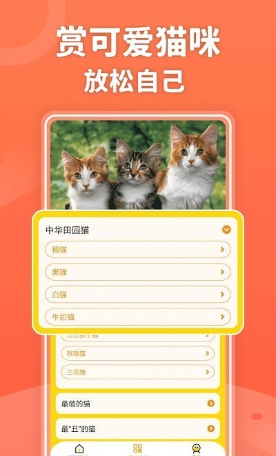 招财进猫学习APP截图