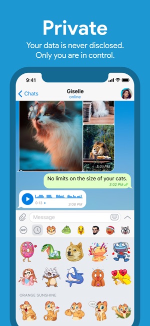 telegram 解禁版