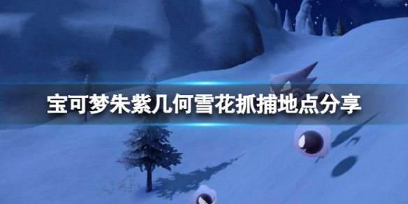 二师兄下载网1