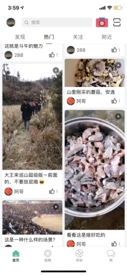 酷牛(民俗风情)