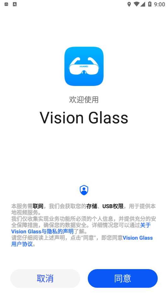 Vision Glass