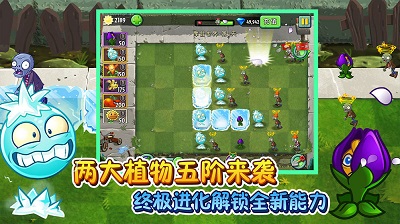 植物大战僵尸2 2023最新版APP截图