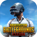 PUBG Mobile 国际服2.5.0版手游