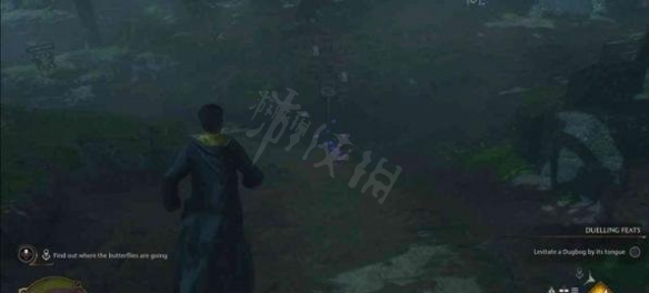 二师兄下载网8