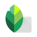 snapseed v2.22免费下载