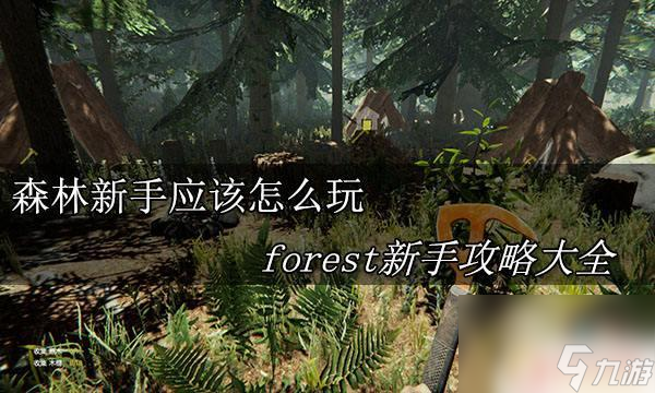 森林攻略steam forest新手攻略详解