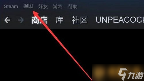 Steam隐藏游戏显示教程，快速恢复隐藏的游戏攻略