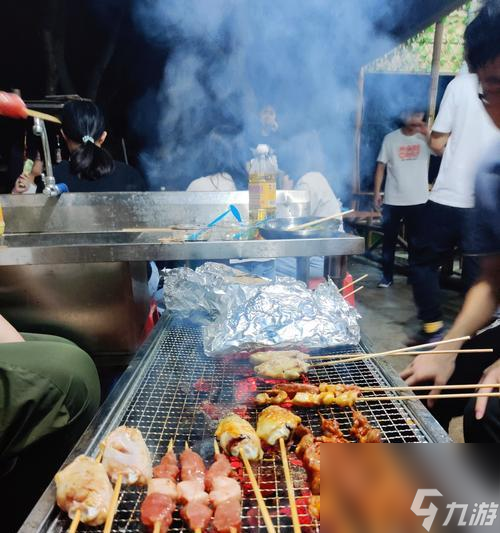 《山海朱獳进化丹材料一览》（探究山海世界进化丹的制作材料及获取方法）