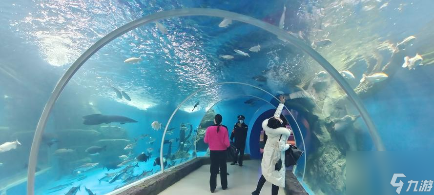 文明大爆炸水族馆和剧场（探索两个文明世界）