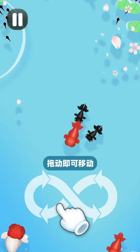 合成大锦鲤APP截图