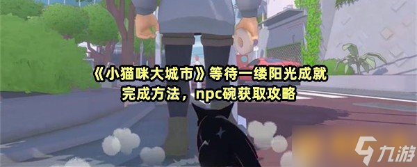 《小猫咪大城市》等待一缕阳光成就完成方法，npc碗获取攻略