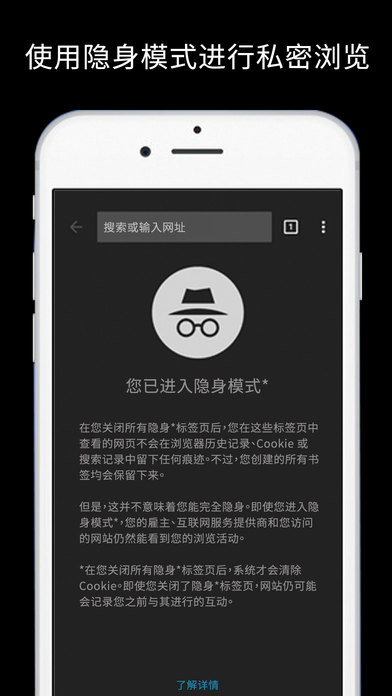 谷歌浏览器 网页版入口APP截图