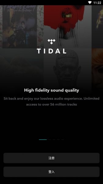 tidal music