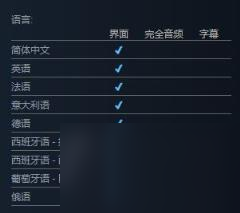 暴怒格斗节支持语言说明
