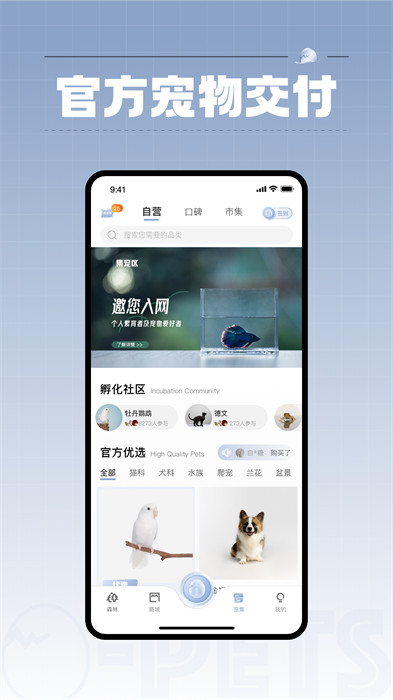集宠区app测试版