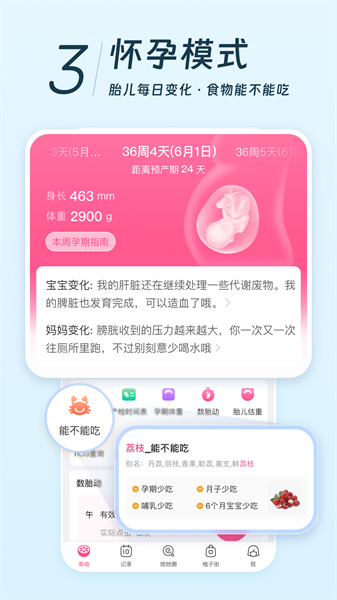 西柚app(美柚)