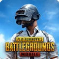 pubg国际服手游 正版下载入口APP下载