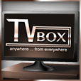 TVBOX内附接口版