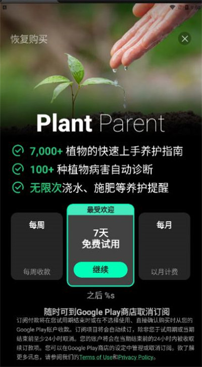 植物养护指南